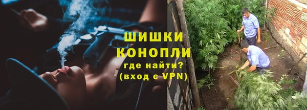 МДПВ Волоколамск